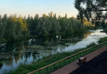 В Стерлитамаке очистка Ашкадара начнется после 10 июня