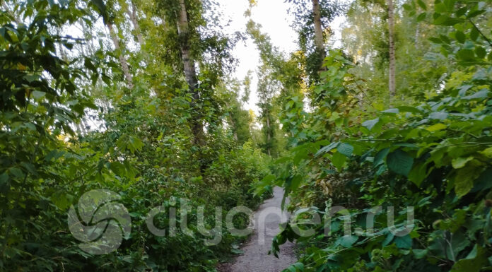 В Стерлитамаке в 2026 году благоустроят аллею по Элеваторной недалеко от ТЦ «Фабри»