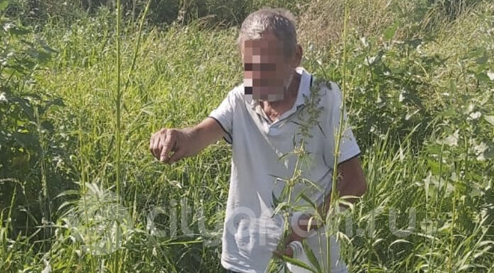 В Стерлитамаке у пенсионера нашли пакет с коноплей