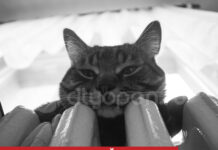 Когда отопление дойдет до всех квартир в Стерлитамаке: комментарий администрации