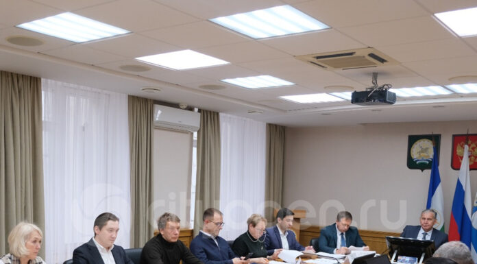 В Стерлитамаке предложили реализовать музей слова, арт-резиденцию и войлочный проект