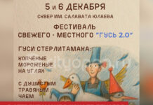В Стерлитамаке в начале декабря пройдет фестиваль «Гусь 2.0»