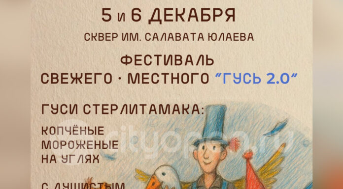 В Стерлитамаке в начале декабря пройдет фестиваль «Гусь 2.0»