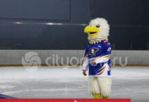 В Стерлитамаке пройдут домашние матчи Первенства России по хоккею с участием ХК «Орлан-2015»