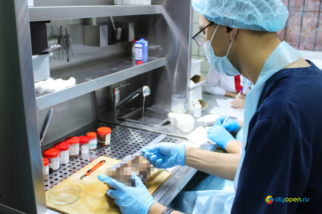 IMG_5763++ обложка