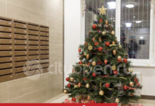 Штраф в 15 000 рублей за елку в подъезде: в ГК Башкирии по ЧС разъяснили правила