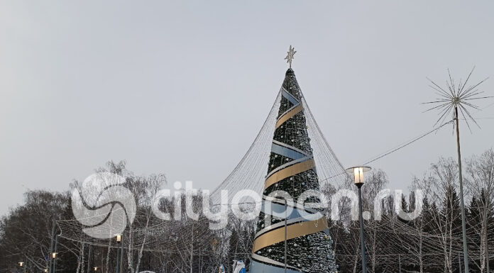 В Стерлитамаке в этом году откроется девять новогодних городков
