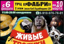 В Стерлитамак приезжает уникальная выставка экзотических животных “Живые тропики”!