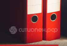 Вывески на русском языке и защита от автоплатежей: какие законы вступают в силу в марте 2026 года в России