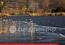 Уровни рек в Стерлитамаке и районе на 9 апреля 2026 года: Стерля опустилась почти на 30 см