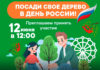 В Стерлитамаке ко Дню России пройдет акция по посадке деревьев