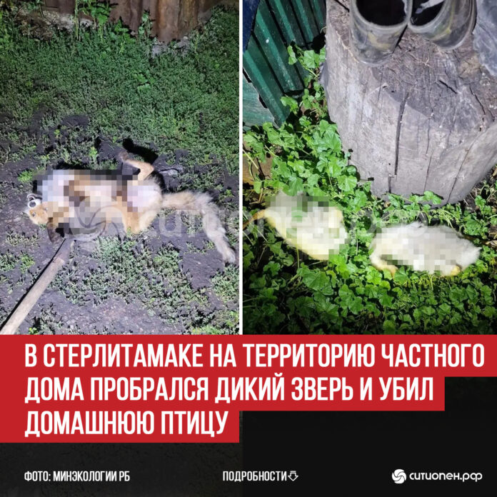 пост 5