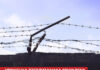 Уроженка Стерлитамака осуждена за участие в международной террористической организации