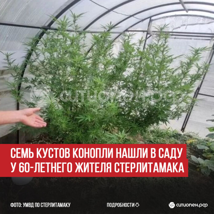 пост 5
