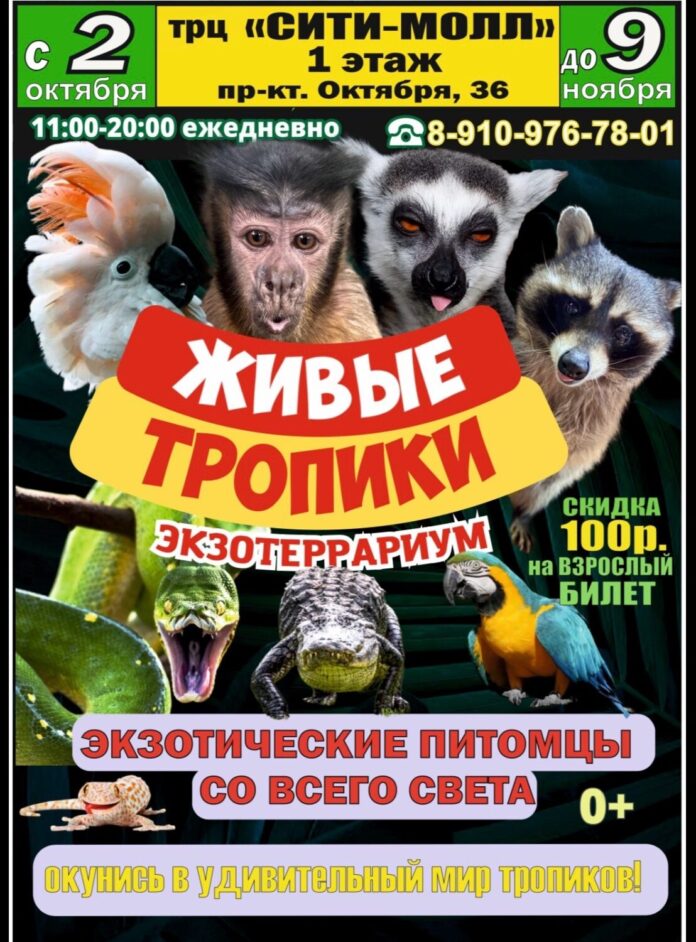 Ru580WKFNXxV1gs61niWjvjPeSTmTNTFE8q83iH623sYW9cRsvPBeKeVUehAFJQx0Ymoowfjj8bx5SaE_syroM_8